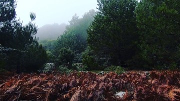 Ημέρα της Γης 2021 | Τι μπορώ να κάνω;